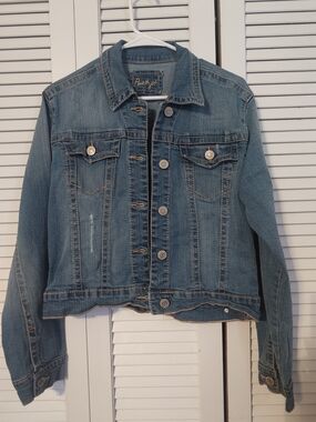 Ann Taylor Denim Trucker Jacket - Blue
